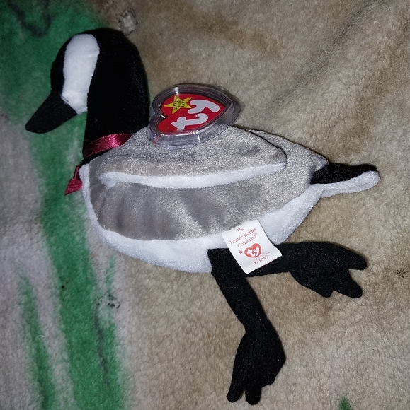 TY Beanie Baby “Loosy” the Goose - 1998 - Picture 1 of 8